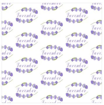 Lavender. Seamless pattern with flowers and the calligraphic word lavender on a Stock Illustration