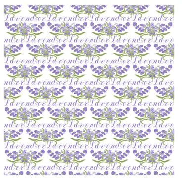 Lavender. Seamless pattern with flowers and the calligraphic word lavender on a Stock Illustration