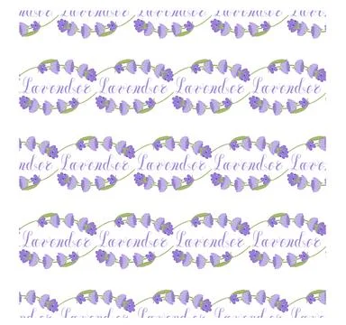 Lavender. Seamless pattern with flowers and the calligraphic word lavender on a Stock Illustration