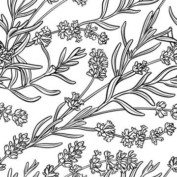 Lavender seamless pattern Illustrazione stock