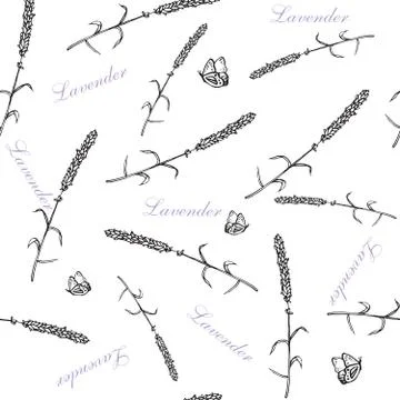 Lavender seamless pattern Stock Illustration