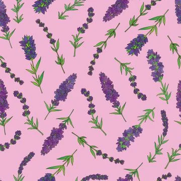 Lavender seamless pattern Stock Illustration