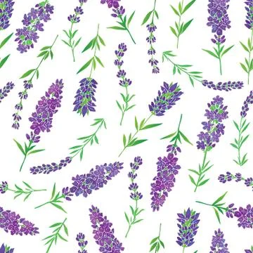 Lavender seamless pattern Stock Illustration