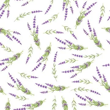 Lavender seamless pattern. Vector flat grass lavender Illustration. For Stock Illustration