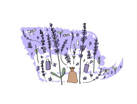 Lavender set composition in doodle style. Flowers elements isolated on white  Stock Illustration