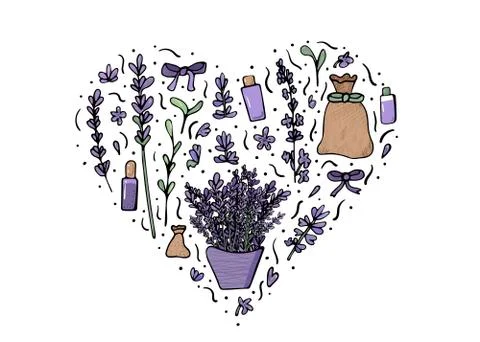 Lavender set heart composition in doodle style. Flowers elements isolated on  Stock Illustration