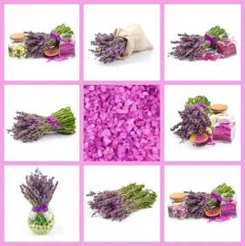 Lavender, set Stock Photos