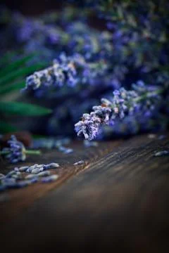 Lavender setting Stock Photos