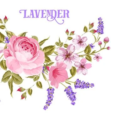The Lavender sign Stock Illustration