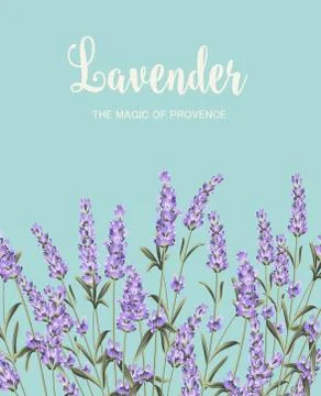 Lavender sign label Stock Illustration