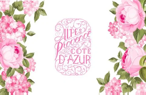 Lavender sign label. Stock Illustration