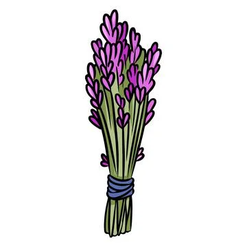 Lavender smudge bundle hand-drawn doodle isolated icon. Vector stock herbs im Stock Illustration