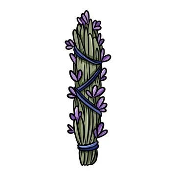 Lavender smudge bundle tied with thread hand-drawn doodle isolated icon. Vect Stock Illustration