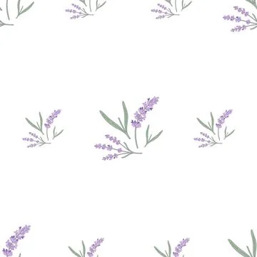 Lavender Sprigs Seamless Pattern Illustration on White Background Illustrazione stock