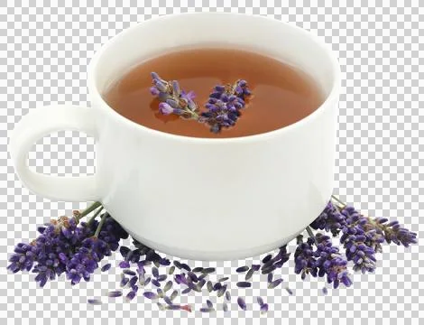 Lavender tea with flower Stock Photos