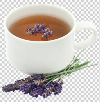 Lavender tea with flower Stock Photos