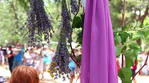 Lavender-themed event Vídeo Stock 65107075