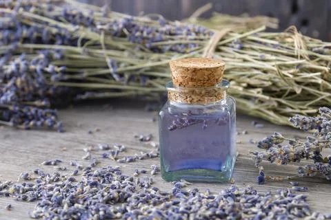 Lavender tincture Foto stock