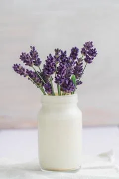 Lavender in a vase Stock Photos