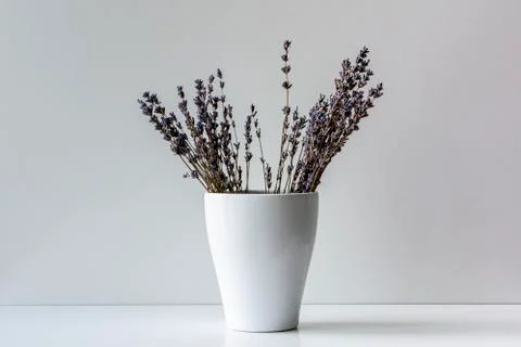 Lavender vase Stock Photos