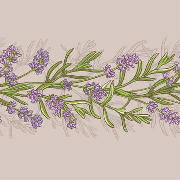 Lavender vector  pattern Stock Illustration