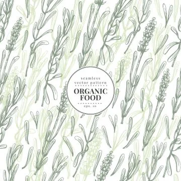 Lavender. Vector seamless pattern for design menu, packaging and recipes. Hand Stock Illustration