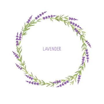 Lavender wreath. Flowers frame. Vector flat grass lavender Illustration Stock Illustration