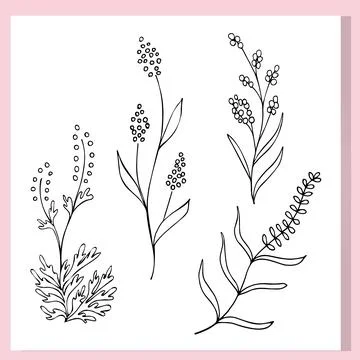 Lavendertype Stock Illustration