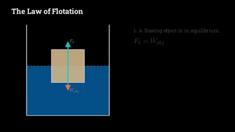 The law of flotation Vídeo Stock 335190738