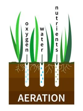 Lawn aeration process vector illustration. Concept of lawn grass care, gardening Stock-Illustration