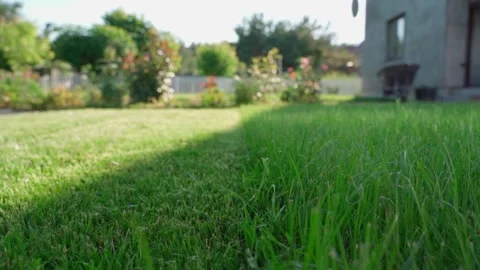 Lawn before and after grass mowing with lawn mower close-up Video stock 339761183