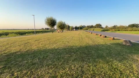 Lawn and Road with Bicycle Path and Trees Video stock 344329472