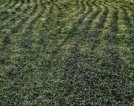 Lawn area Foto stock