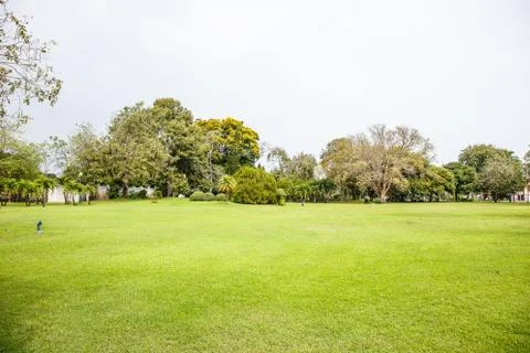 Lawn with blue sky Stock Photos
