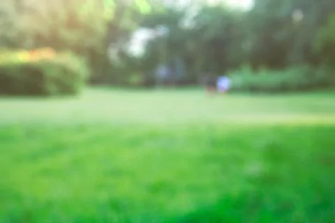 Lawn with blurred image. Stock Photos