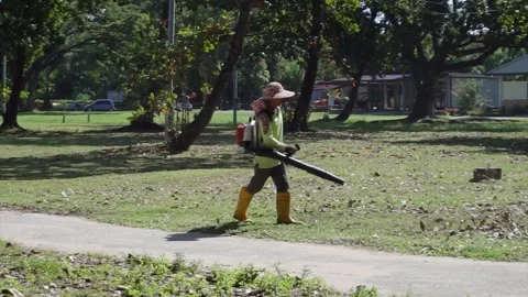 Lawn care using blower to cleaning the park. 스톡 동영상 255125929