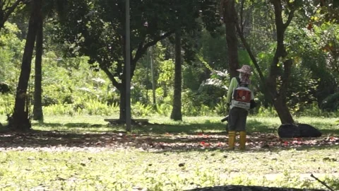 Lawn care using blower to cleaning the park. Stock Footage 255126353