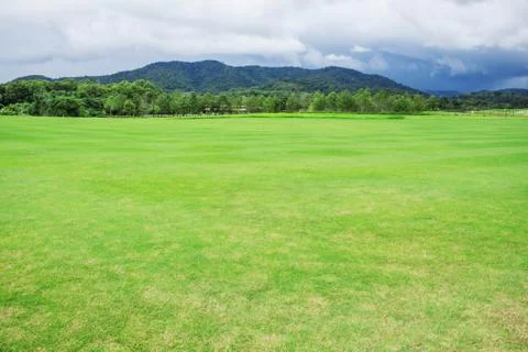 Lawn in the countryside. Stock Photos