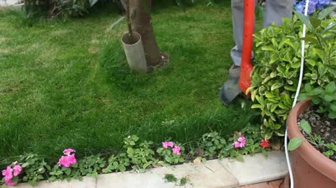 Lawn Cutting Stock Footage 21931208