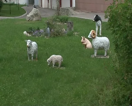 Lawn Stockbeeldmateriaal 10728063