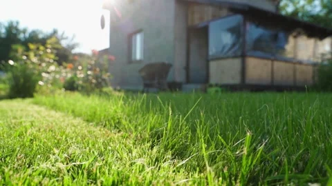 Lawn grass after lawn mower pass close-up. Country property on sunny day Video stock 339417824