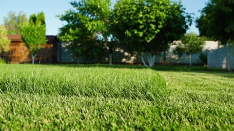 Lawn grass before and after mowing with smooth camera movement Stock Footage 342811298