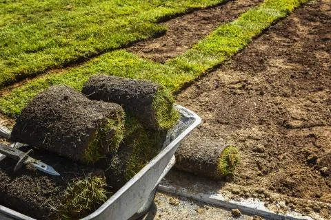 Lawn, grass-plot in the rolls Stock Photos