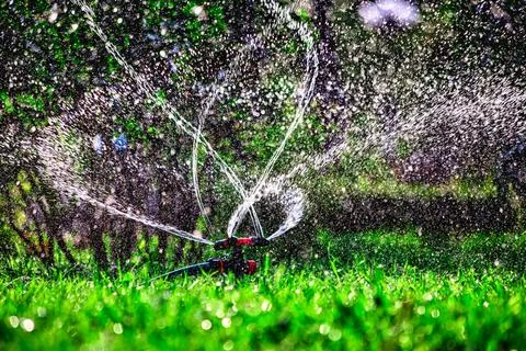 Lawn irrigation system. Spraying water on the lawn in very hot weather. Stock Photos