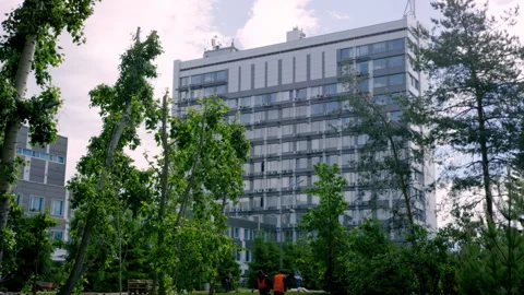 Lawn laying work visible from multi-storey building in park Stock Footage 244786799