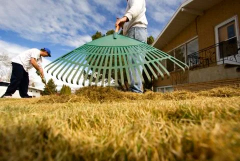 Lawn maintenance Stock Photos