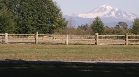 Lawn Man With Mountain Stock Footage 62867494