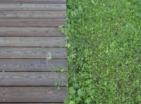  the lawn most basic in garden design and living architecture the lawn mos... Stock Photos