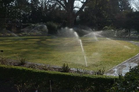 The lawn most basic in garden design Stock Photos