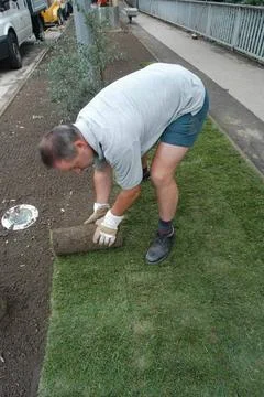  the lawn most basic in garden design and living architecture the lawn mos... Stock Photos